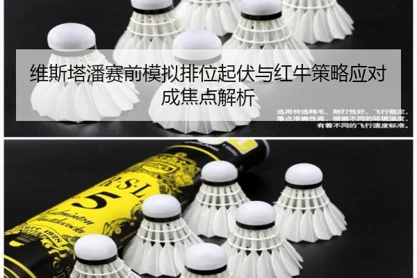 维斯塔潘赛前模拟排位起伏与红牛策略应对成焦点解析 | kaiyun